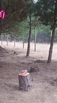 Recoping bosque sexy madrastra al aire libre