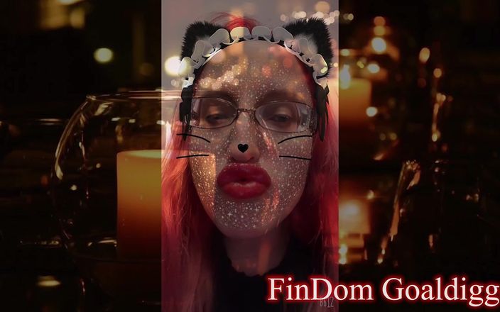 FinDom Goaldigger: Трансформация принцессы-шмеля-кошки
