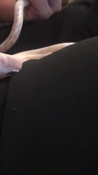 漂亮的年轻黑发女郎在第一人称视角中被狠操并被射在身上