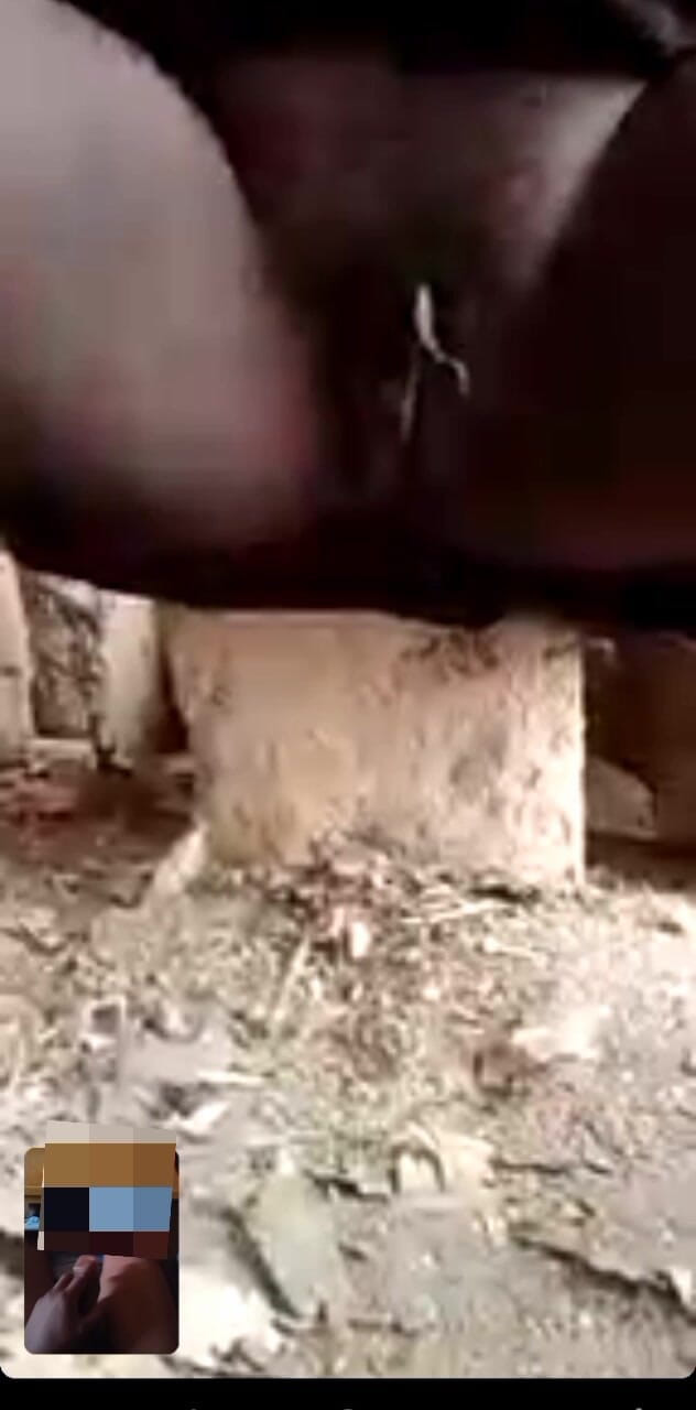 Me and my new slut: Old lady Hadzabe tribe hat eine große muschi mit Long...