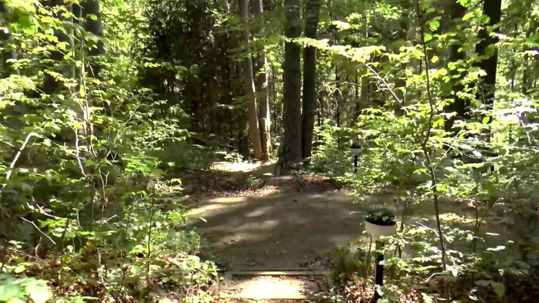 German Full Movies: Hartgeld Nutten 7 dp futai sălbatic în aer liber