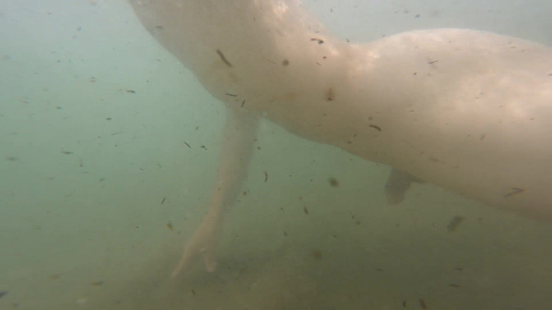 Cool Body: Tôi xuất tinh chỉ vì sung sướng khi cảm thấy...