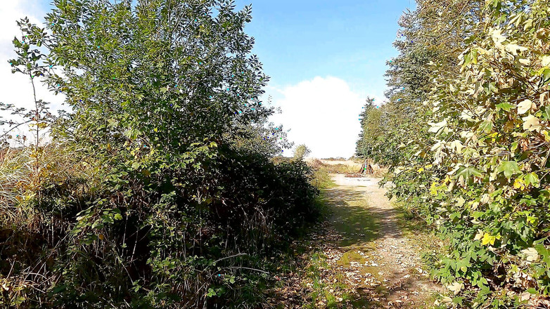 Bouncy Tits Action: 흑인 대물 자지에게 따먹히는 거유 밀프