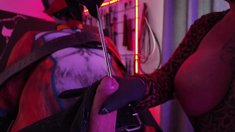 Domina Dark: Děvka Shakkis Fox Cock