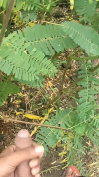 Horny Boy Masturbation in Outdoor and Cumshot