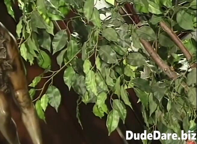 DudeDare: Bear masturbating while getting nailed missionary