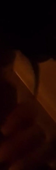 Penyayang menghisap batangnya emosi