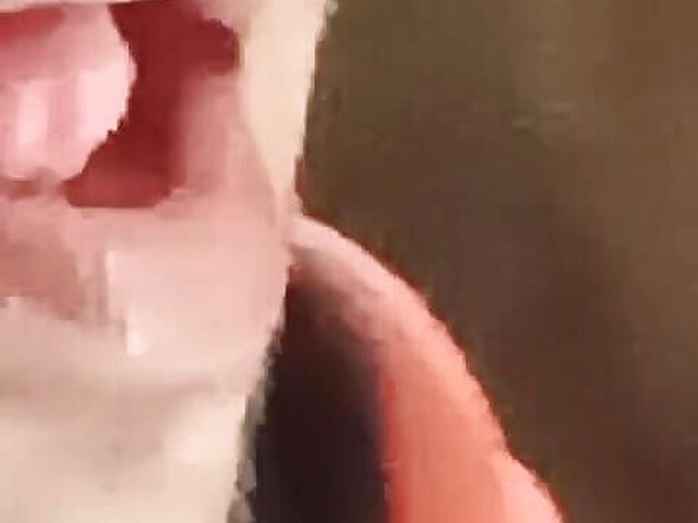 Dirty Talk with Lips Massage (Xhamster stroks)