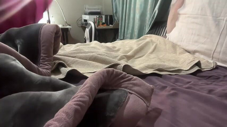 Legendary Booty Overdose: 超级肥胖的白人美女挑逗和昏睡的恋物癖