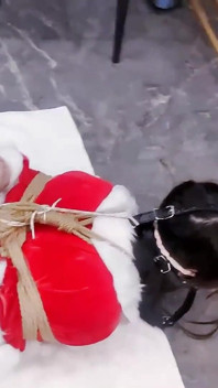 Wishing You a Merry Christmas