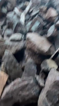 Piscio Sulla Bambola Così Divertente