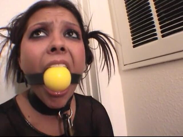Spungy Gunk Films: Busty brunette bondage'd and ball gagged