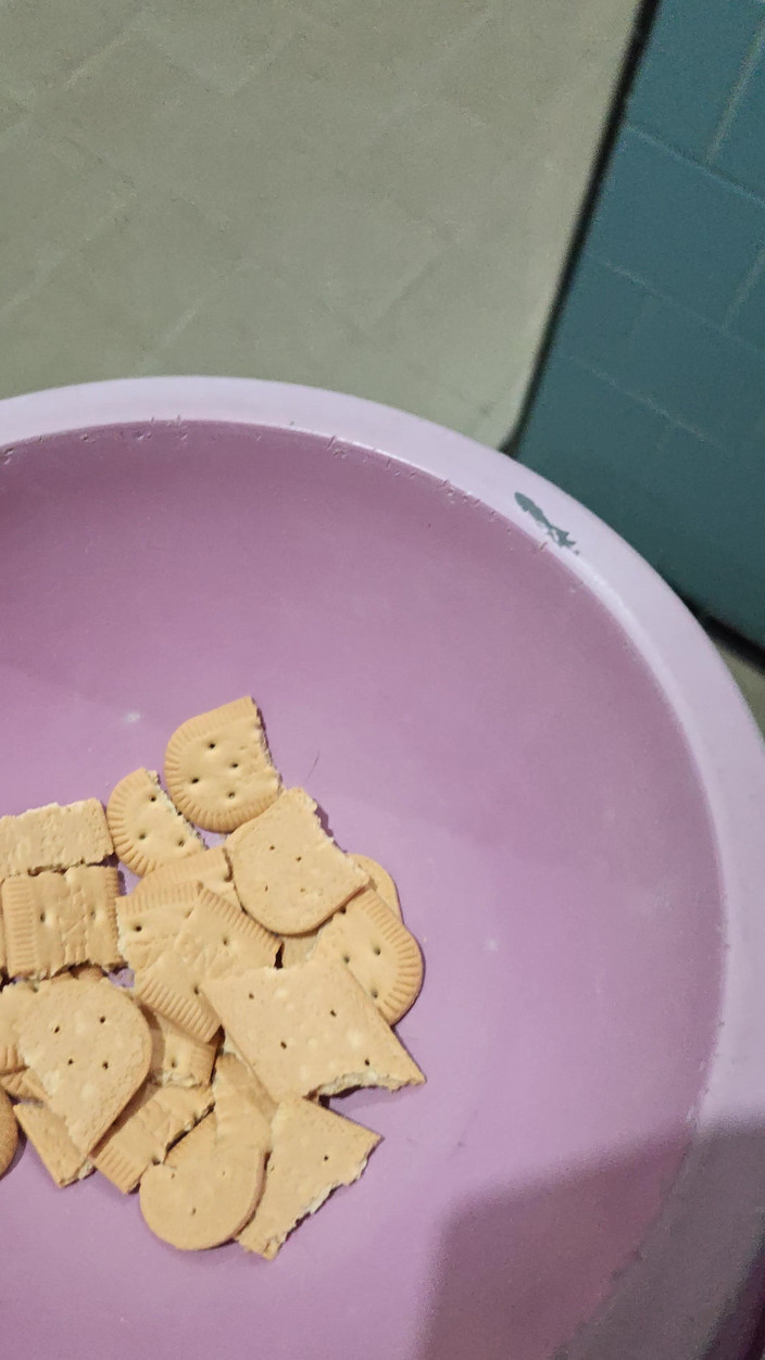 Lily Slav: Comendo submissa, guloseimas e latindo