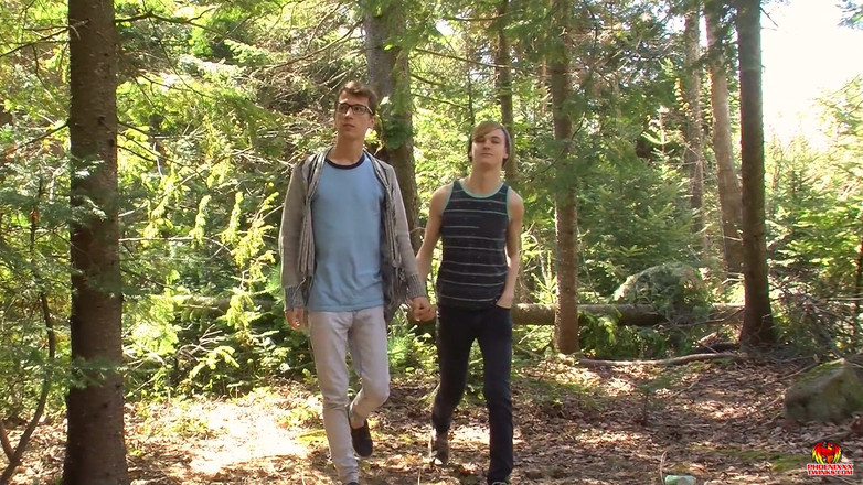 Phoenixxx: The Wood in the Cabin: a Very Welcome Interruption