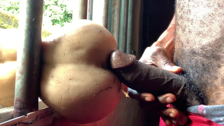 Bangcum8: हॉट गहरी xxx रंडी