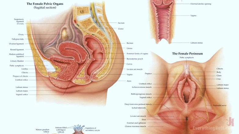 Everything Butt by Kink: Buttfucking Is the Best Birth Control