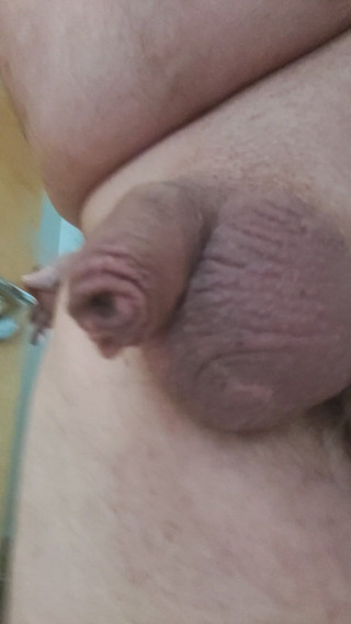 Reggies little wonder: Холодний і крихітний