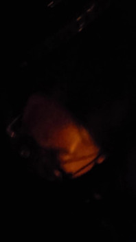 Blowjob in the Street