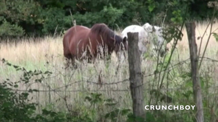 Crunch Boy: 야외에서 차에서 직선 이산가에게 따먹히는 프랑스 팅크