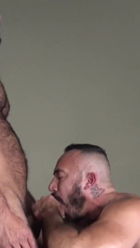 BREEDMERAW - Tata Alessio Romero młotkiem przez młodszego ogiera Vinnie Stefano