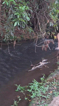 Strangers Are Caught Having Sex at the Waterfall.