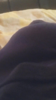 Ibu tiri MILF wanita berkahwin menjilat batang besar teman lelaki makan sperma