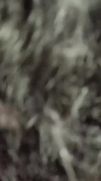 Moja seksowna żona HD indyjski 4K wideo gorąca seksowna żona Queen4desi gospodyni domowa