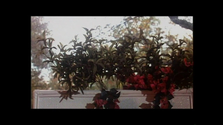 FM Video VOD: 안젤리아 벨라 in: Forbidden Pleasures - (원본 전체 영화 무비 무삭제)