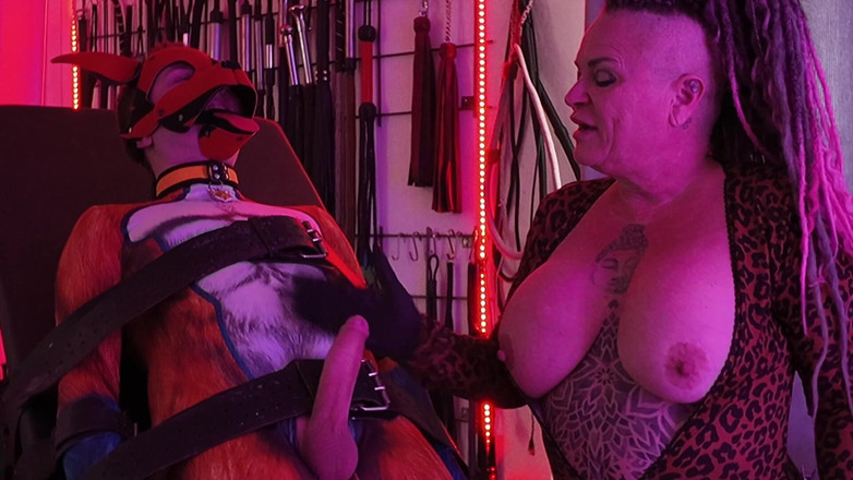 Domina Dark: Děvka Shakkis Fox Cock