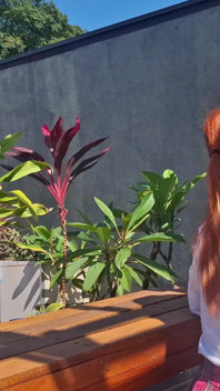 Ngentot cewek polos rambut merah di taman