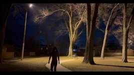 Nighttime Nude Stroll Through a Park. Do Cartwheels Naked! My Fingers Were so Cold