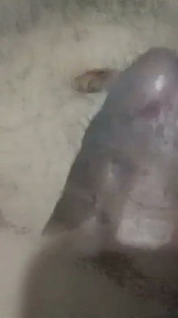 Mostrando un pene de 18 cm de grosor