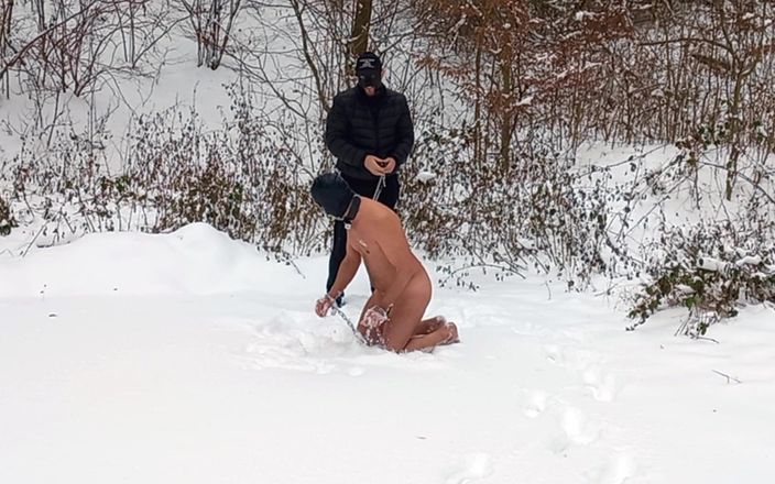 Master Dansan: Fetch Training in Snow