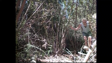 Full Movie XXX: Şehvet Dünyası