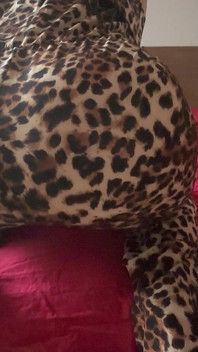 Cougar Pj Stinky Farts in Red Bed