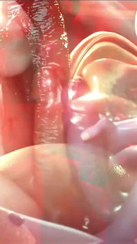 Rigid3d D3d Hardcore Anal Madness: Big-booty Beauties Ravaged and Gulping Down Pleasure