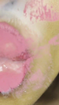 Pink Foxx ger kyssar