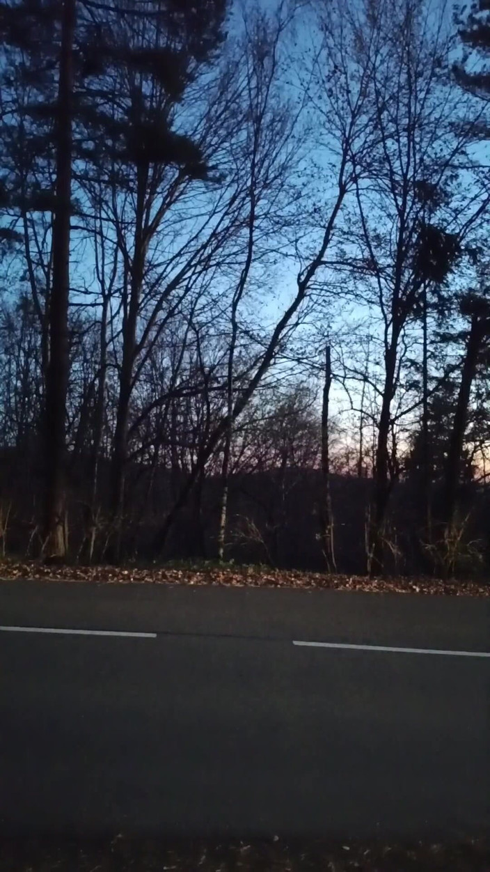 kickerscooter: Jag fångades onanerar offentligt av en främling