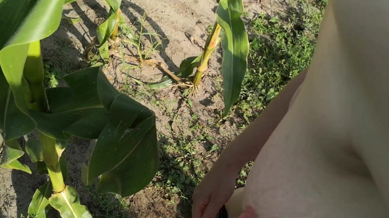 Bouncy Tits Action: Slap me in the corn field