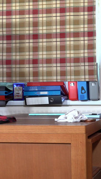 彼女は教訓を学ばなかった