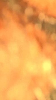 Minha madrasta e eu desi fodendo mamãe indiana