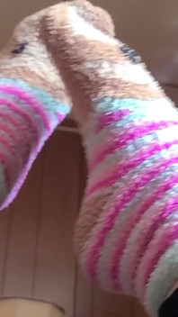 3 minuter av fuzzy sloth sock love