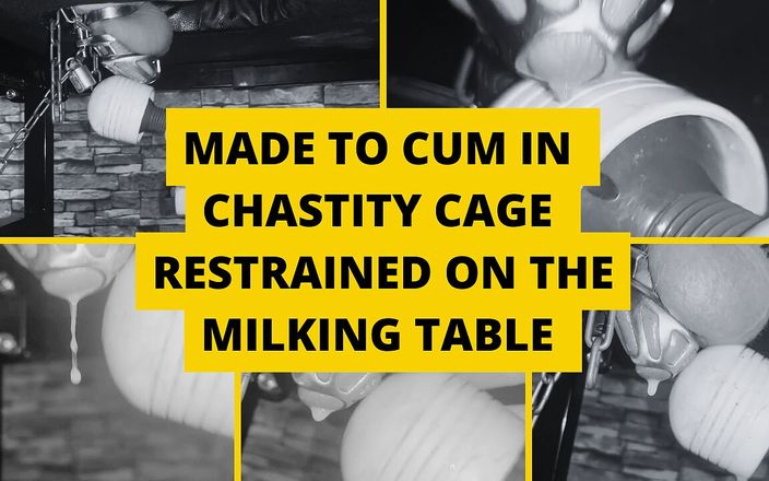 Mistress BJQueen: 在挤奶桌上被限制在贞操笼里射精