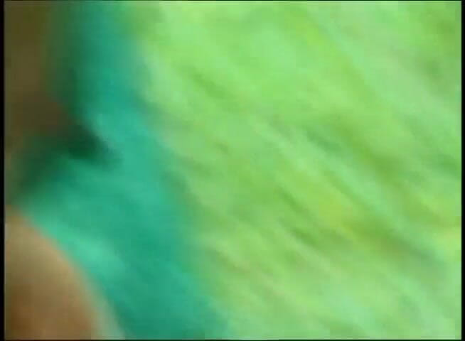 VOP Ebony Babes: 可爱的乌木在户外actiob被一个白人男人性交