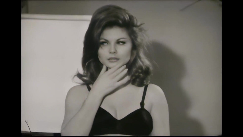 Vintage Usa: I Predatori Della Fica a Bianco E Nero