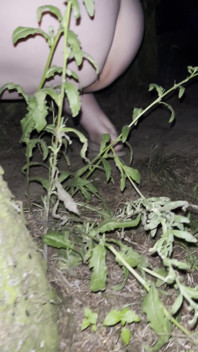 Pissing in the Garden