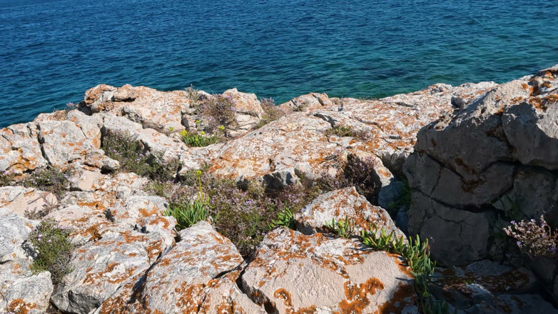 Hothousewifexoxo: Öffentlicher strand, einen heißen großen schwanz abwichsen und meine heiße...