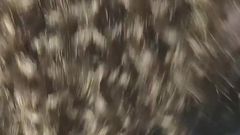 Stepsister Get Fucked Hard