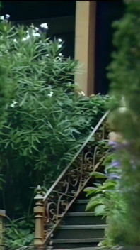 Des Choses Ambiguës Se Produisent Dans La Nurserie