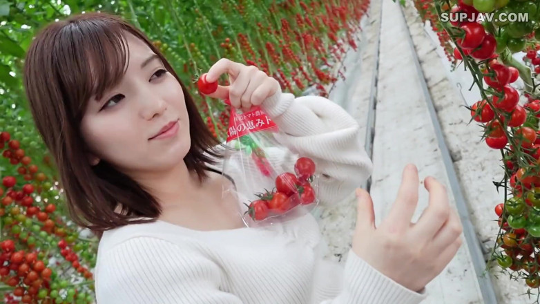 Studio Modern Shunga - JAV: eshiyaee pari 7402